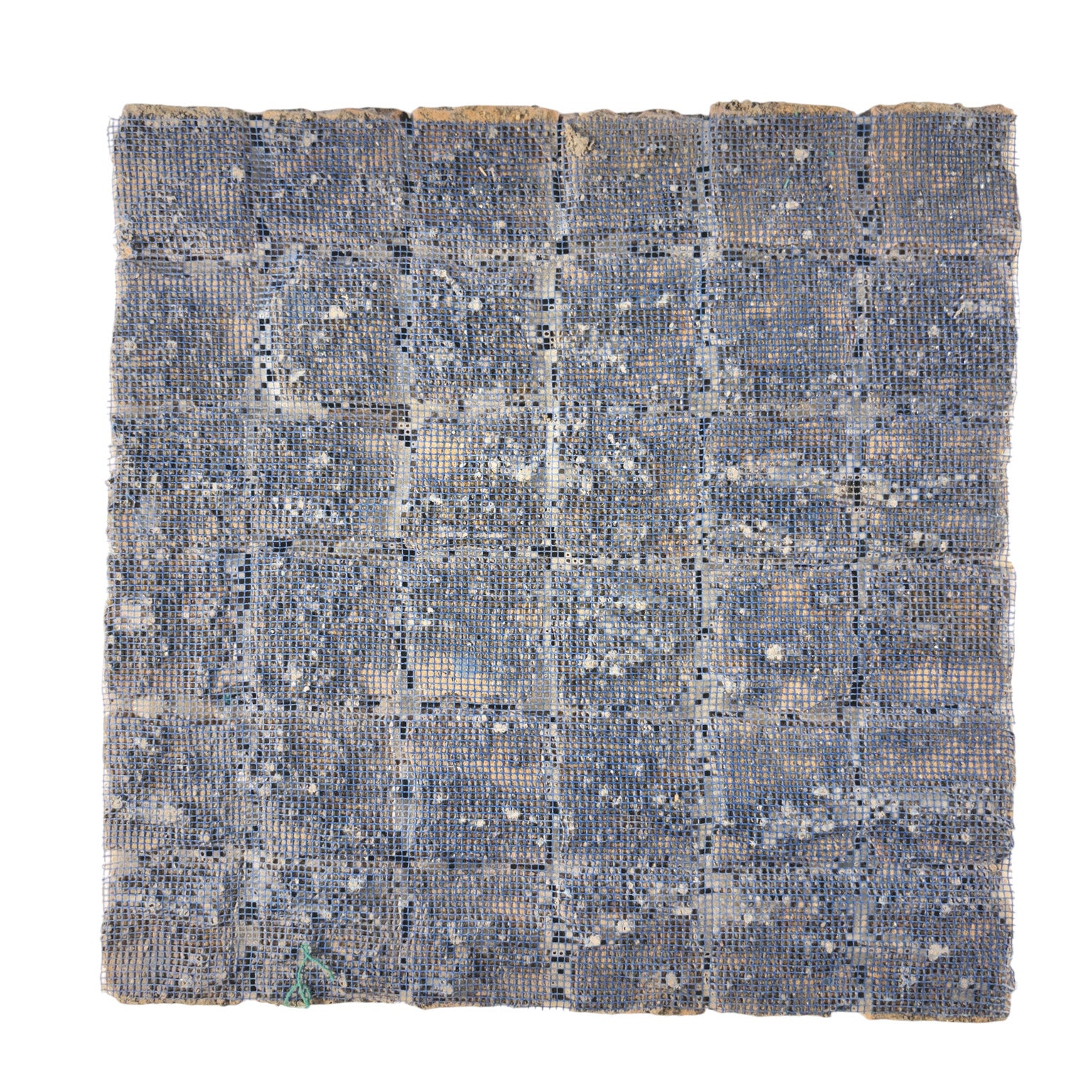 Cornflower 2x2