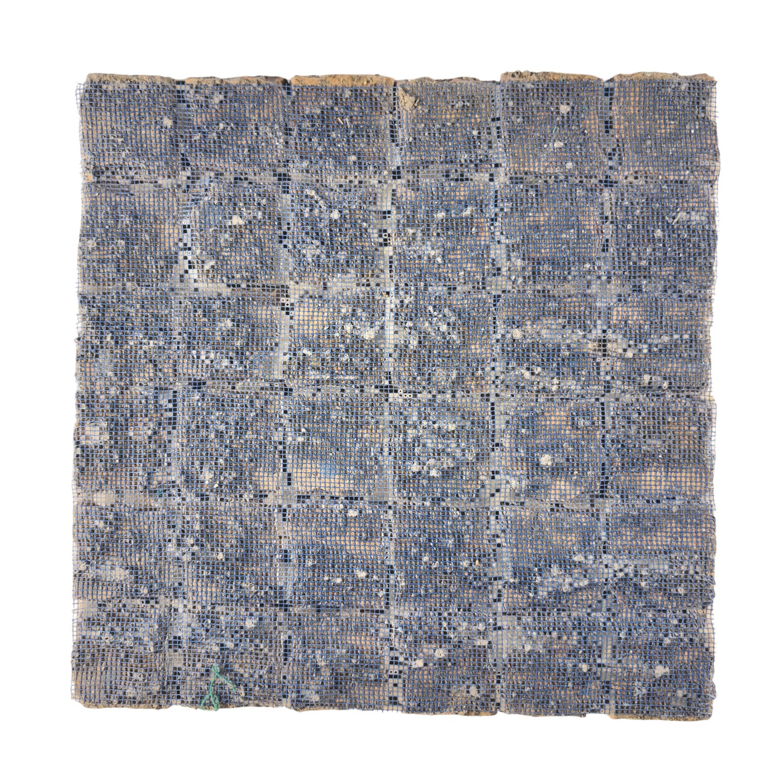 Cornflower 2x2