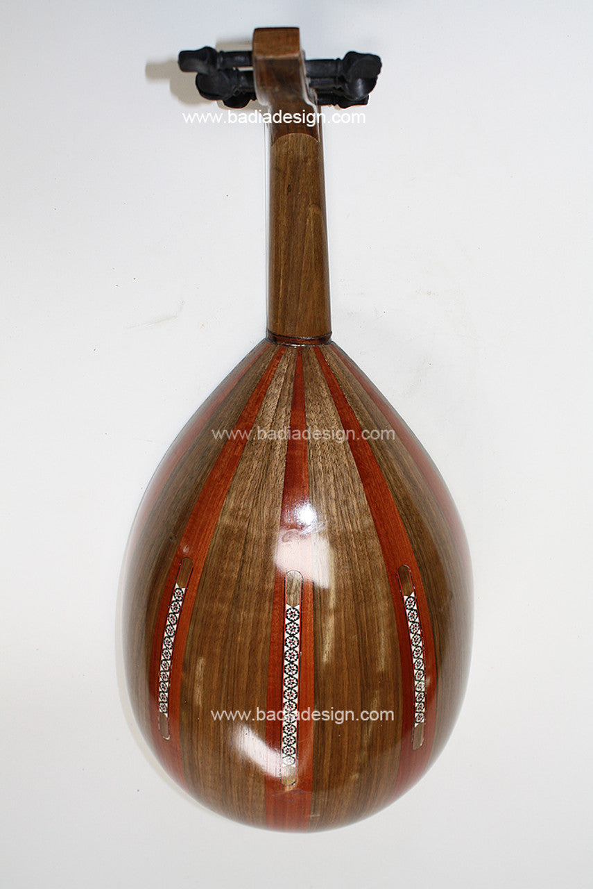Wooden lute instrument on a white background with &