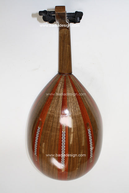 Wooden lute instrument on a white background with &